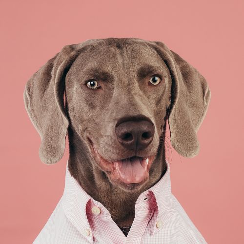 Thumbnail image for department